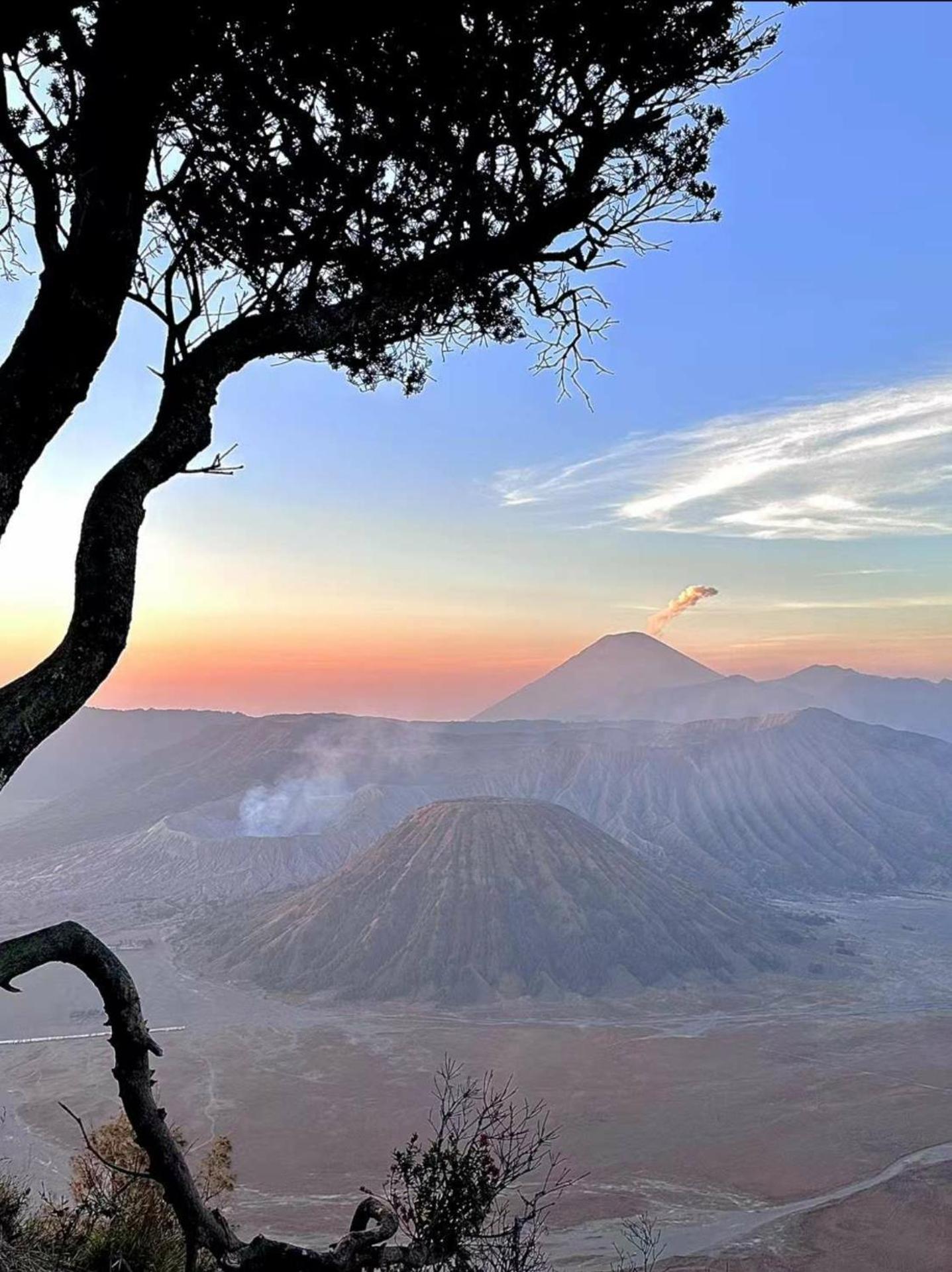 Bromo Holiday Guest House Ngadisari Экстерьер фото